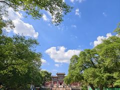 -北陵公园