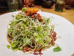 -荟廷·晶萃(陆家嘴尚悦湾店)