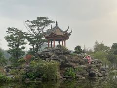 -顺峰山公园