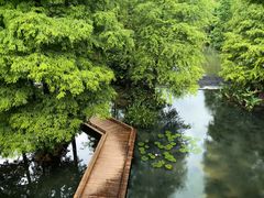 -云溪植物园
