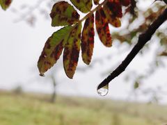 -硗碛藏寨·神木垒景区