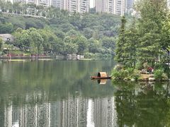 -重庆彩云湖湿地公园