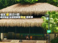 -虎英水上乐园