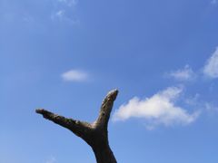 -罗田天堂寨风景区