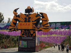 -西域欢乐城