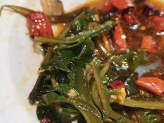 -船歌·鱼水饺青岛菜(合肥路永旺店)