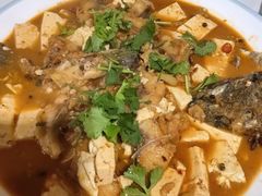 -煲来饱去冷水鱼