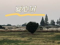 -良渚古城遗址公园
