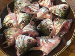 -章记正宗南岗鱼蛋火锅