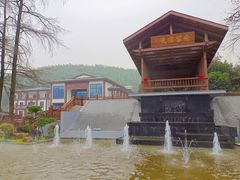 -长兴慧子土特产茶行