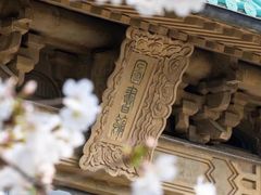 -武汉大学-樱园