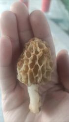 -HEYAN荷妍专业脱毛连锁机构