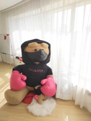 -E.L.K造型momopark店