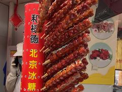 -和禄德冰糖葫芦