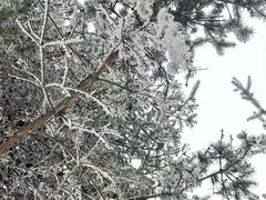 -秦岭终南山世界地质公园翠华山景区