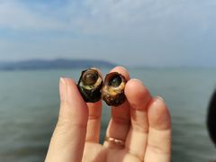 -坝光海滩