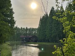 -黄海国家森林公园