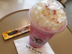 -飞行喵MR PILOT|猫舍·猫咖(静安大融城店)