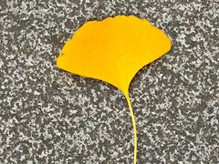 -高庙村(地铁站)