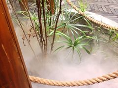 -茶理宜世(京溪店)