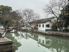 -金泽古镇