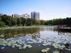 -新江湾城公园