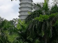 -深圳国际园林花卉博览园