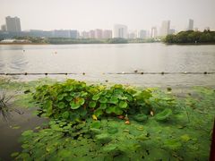 -天鹅湖体育公园