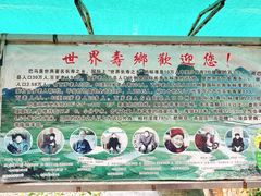 -长寿村