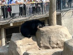 -石家庄市动物园