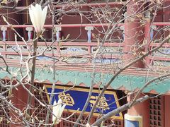 -潭柘寺景区