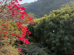 -龙门水都景区