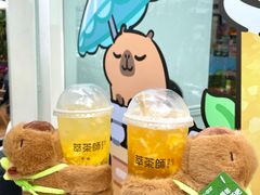 -萃茶师(琅西店)