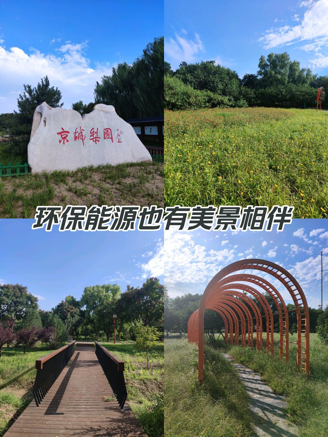 公园里的绿野仙踪 
徒步京城梨园公园!舒服的下午时光!