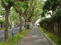 -一尺花园(安和花园店)