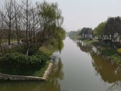 -合肥滨湖国家森林公园