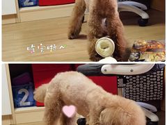 -MUJI无印良品(西单大悦城店)