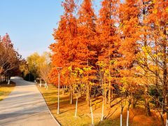 -梁鸿国家湿地公园