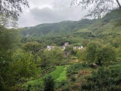 -塔川景区