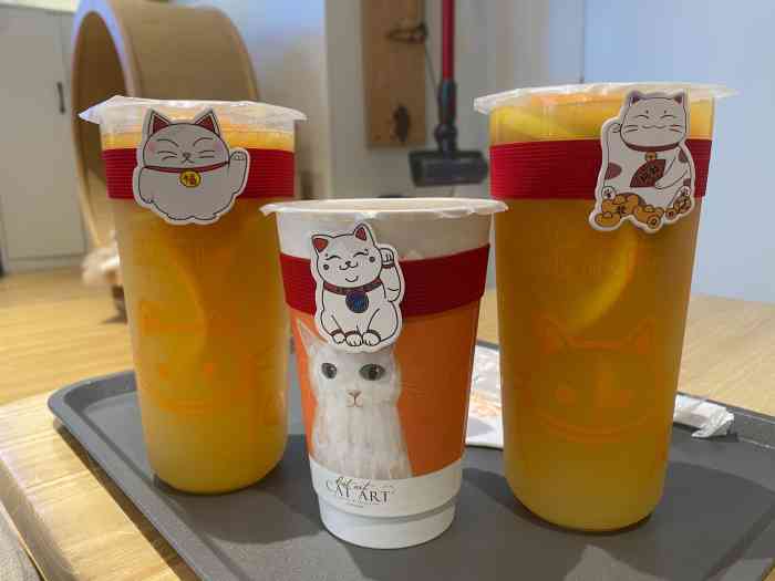 啵啵喵·猫咖(攀华国际店)-"饮料很好喝,据说就是