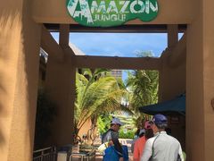 -亚马逊丛林水乐园