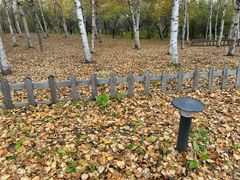 -长春世界雕塑园冰雪艺术天地