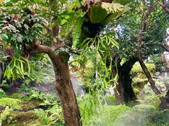 -Chom Cafe and Restaurant