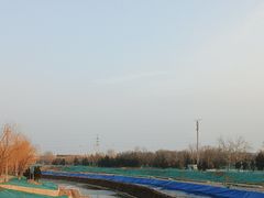 -石榴庄公园