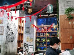 -T.1 hair salon烫染接发