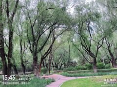 -青城公园