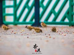 -南丫岛