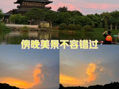 -海珠湖公园