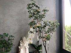 -日上三甘(三里屯店)