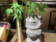-觀芷隐轩